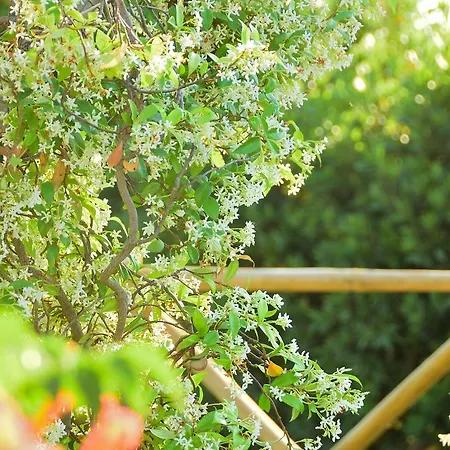 Azienda Agrituristica Il Giuggiolo * Principina a Mare